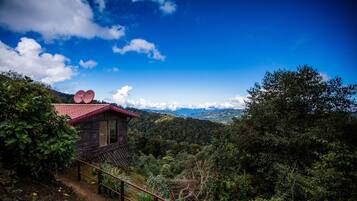 Individually decorated, individually furnished, bed sheets