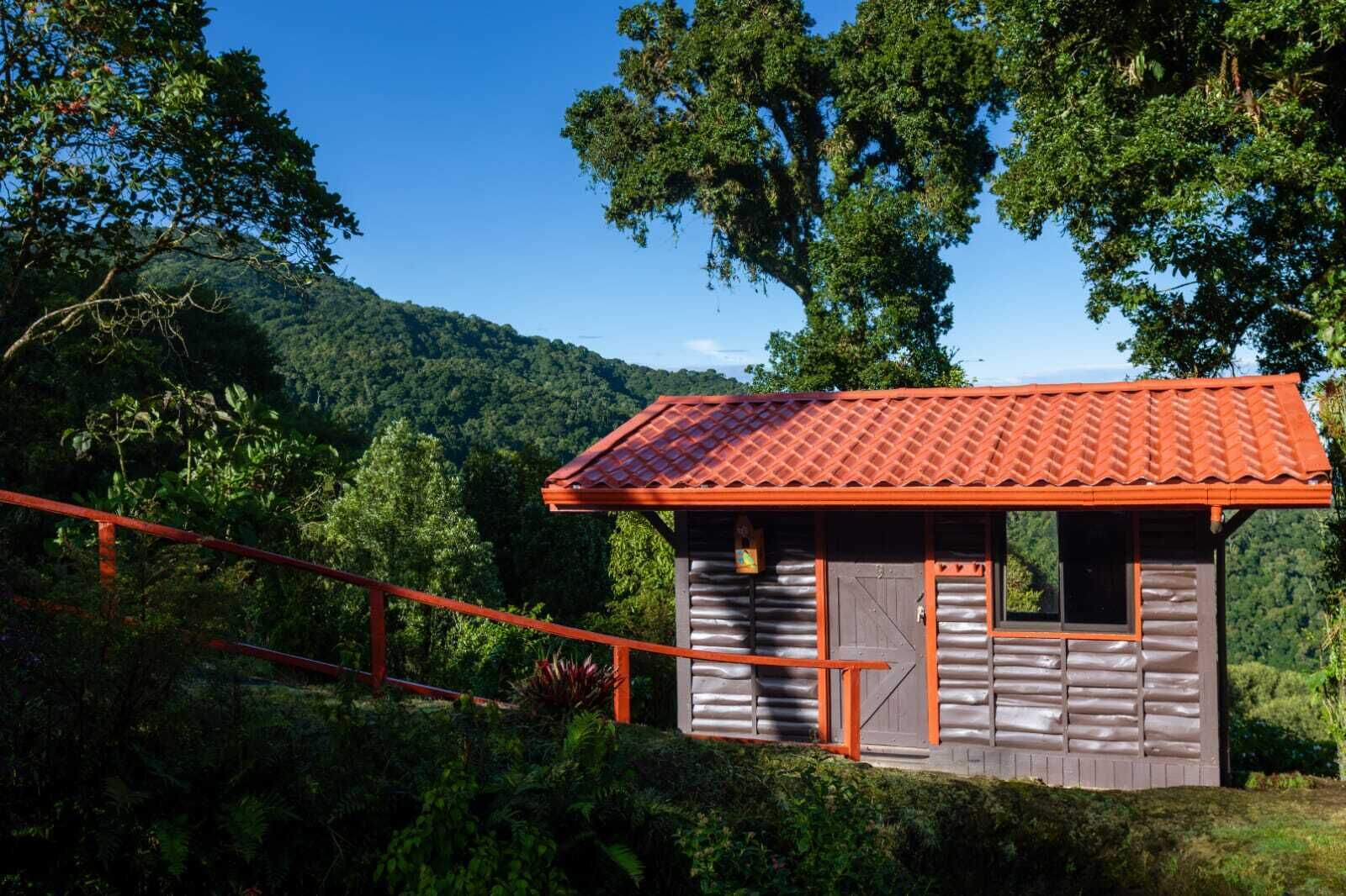 Una pequeña cabaña de madera con techo de tejas rojas, rodeada de exuberante follaje y una barandilla roja.