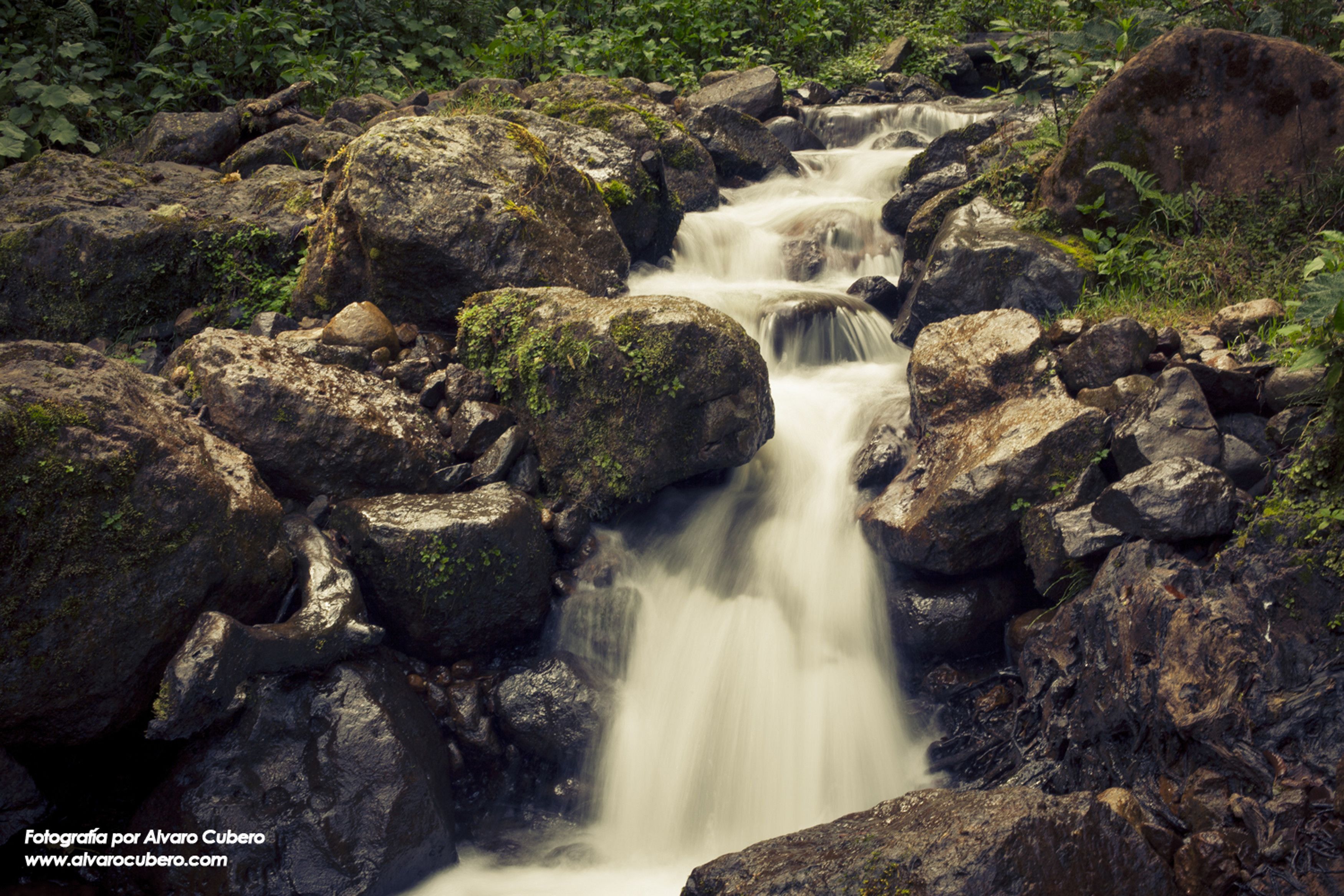 Una cascada fluye sobre rocas en un área boscosa.