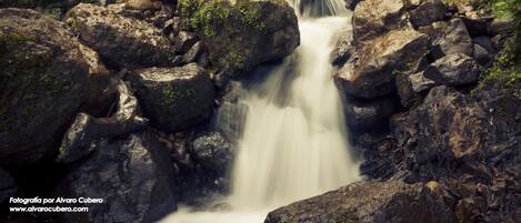 Una cascada fluye sobre rocas en un área boscosa.