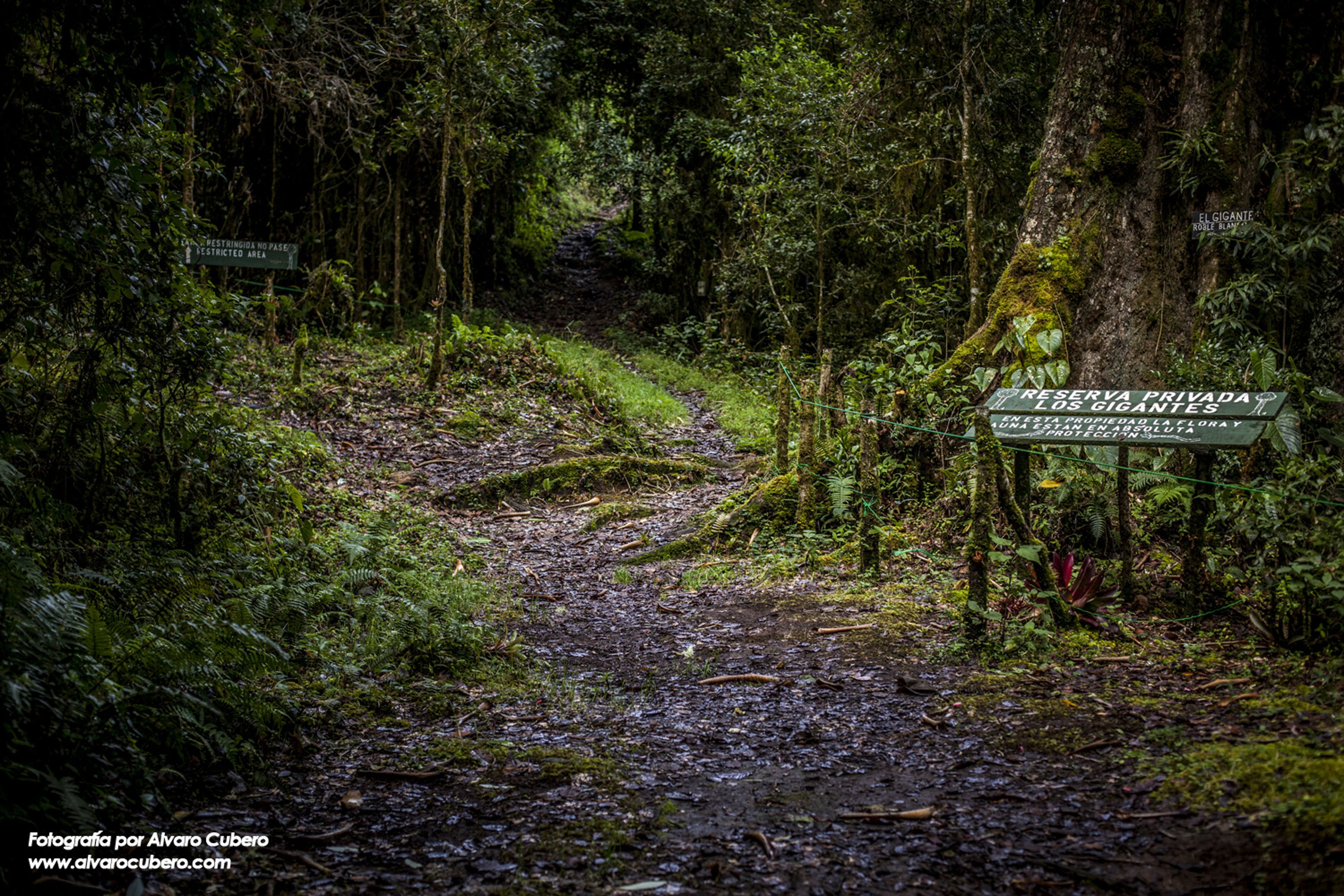 Un sendero arbolado con un letrero que indica una reserva privada.