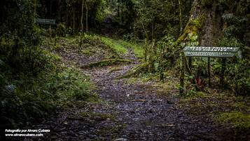 Un sendero arbolado con un letrero que indica una reserva privada.