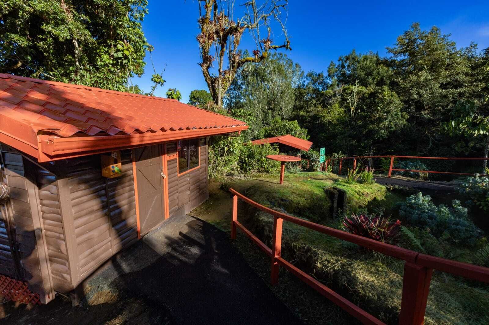 A wooden cabin with a red roof, surrounded by lush greenery and a small pond.