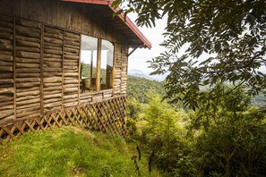 Property grounds - Paraíso Quetzal Lodge (Copey)