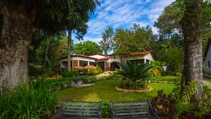 Garden - Auberge Villa Cana (Plaine-du-Nord)