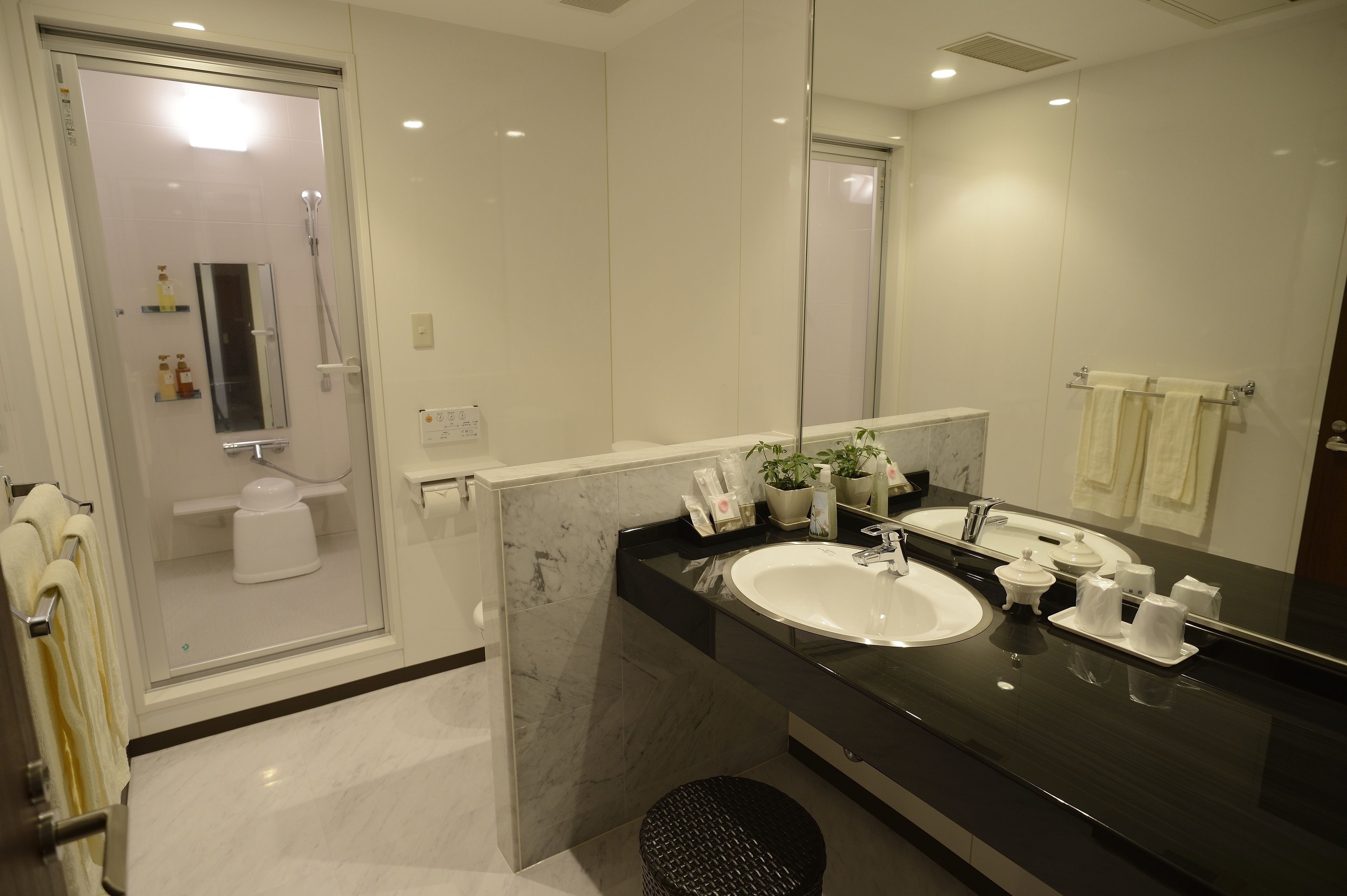 Superior Twin Room, Non Smoking | Bathroom | Separate bathtub and shower, spring water bathtub, hair dryer, slippers