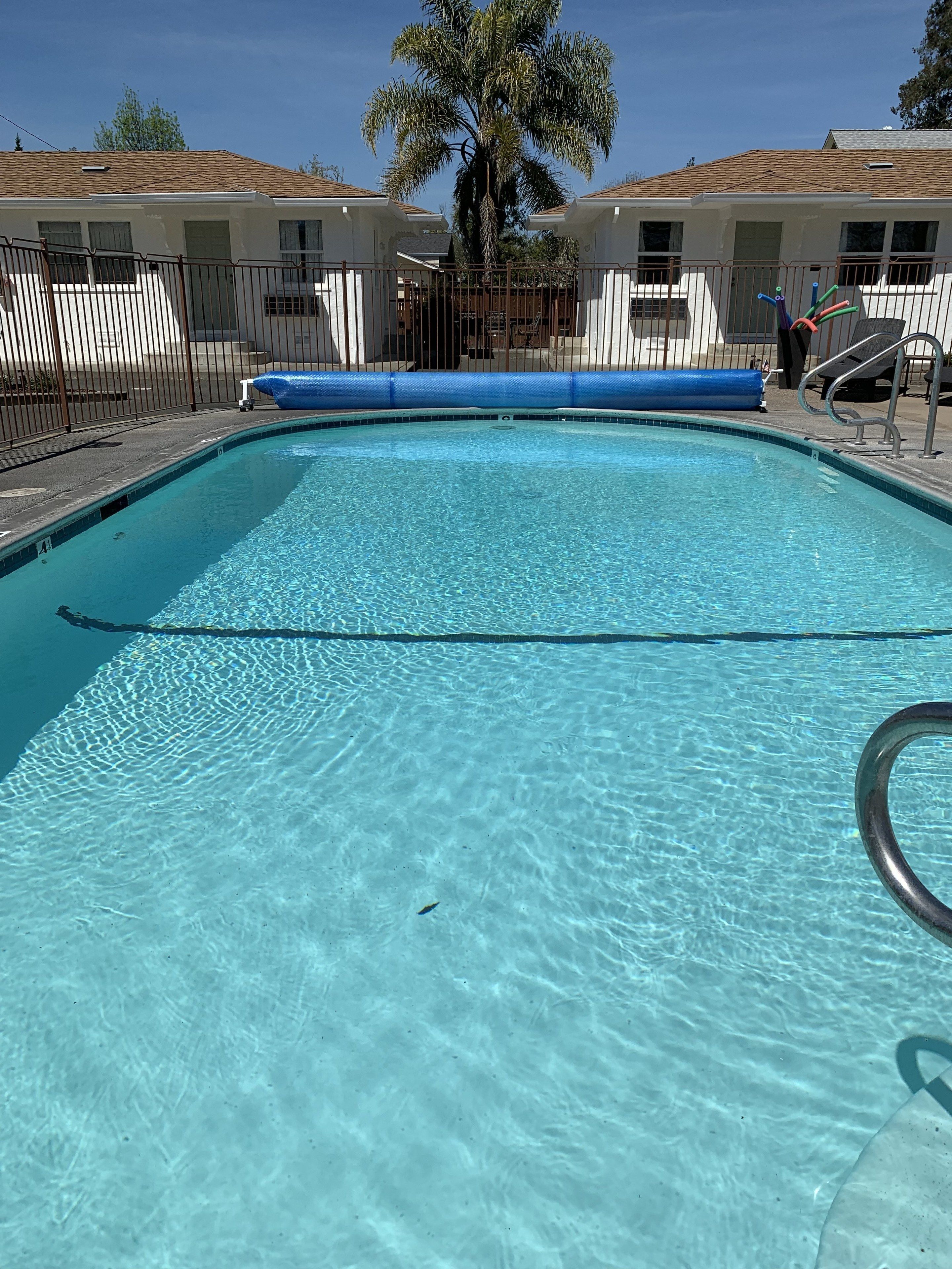 Una piscina cristallina con uno scivolo gonfiabile blu, circondata da una recinzione e palme.