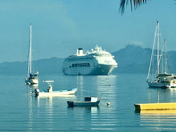 A cruise ship docked at a marina with several smaller boats and yachts nearby.