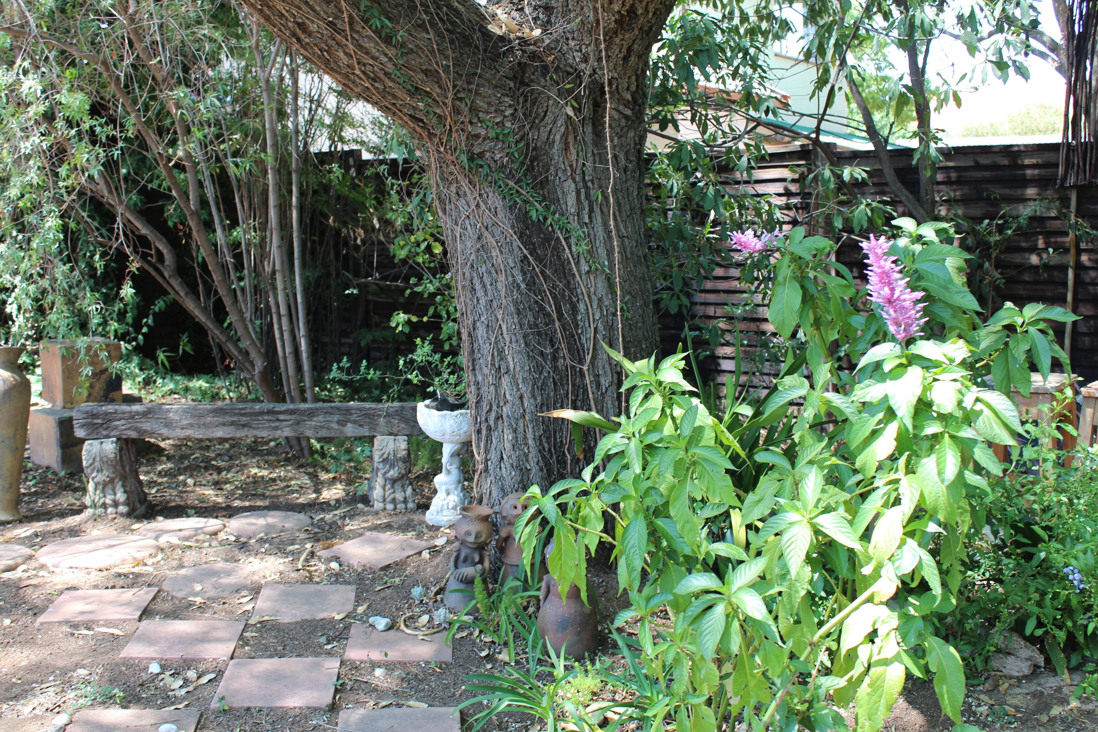A garden with a tree, a wooden bench, and various plants.
