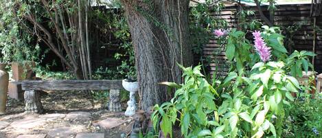 A garden with a tree, a wooden bench, and various plants.