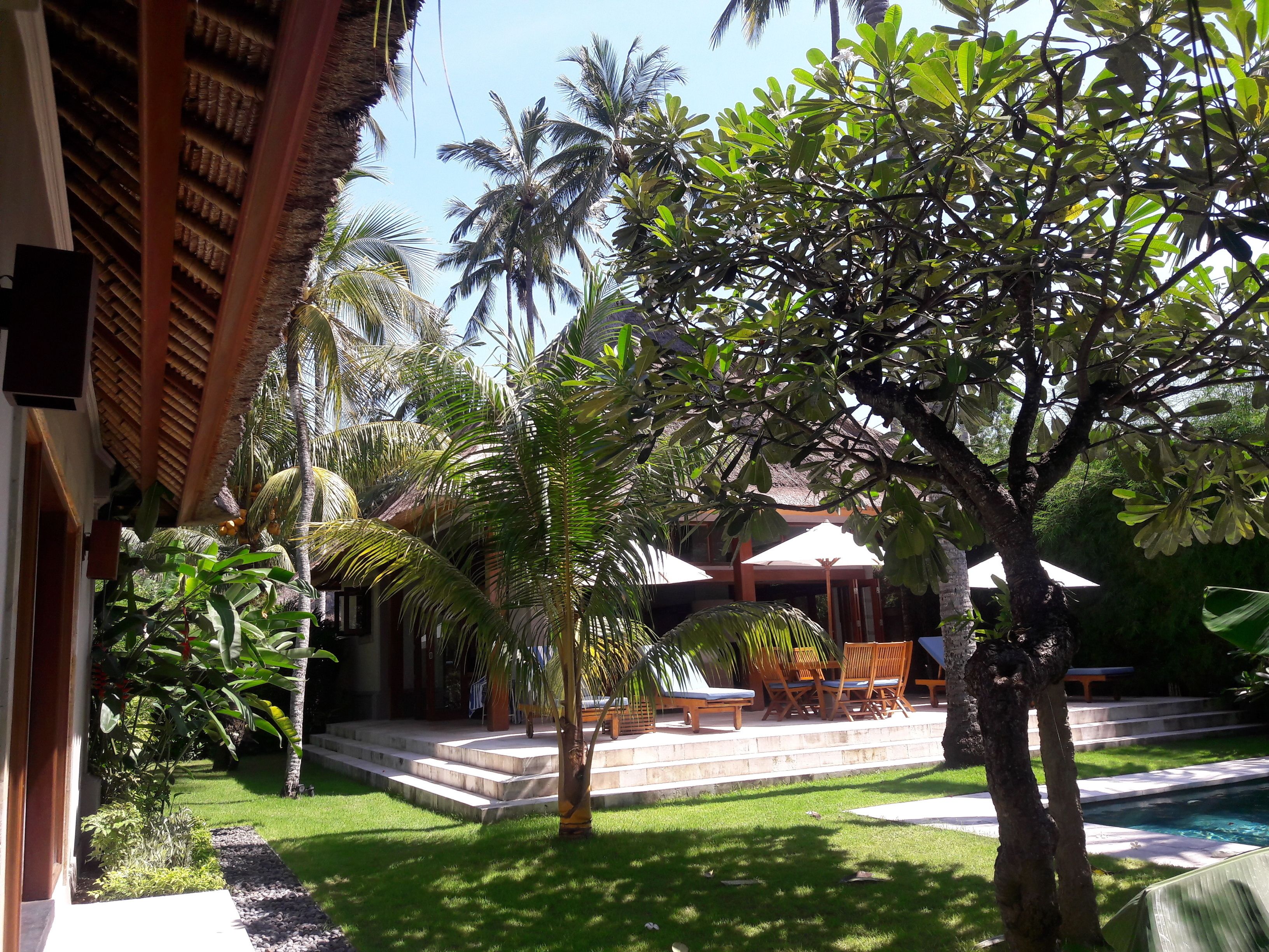 A tropical garden with palm trees, a pool, and outdoor seating.