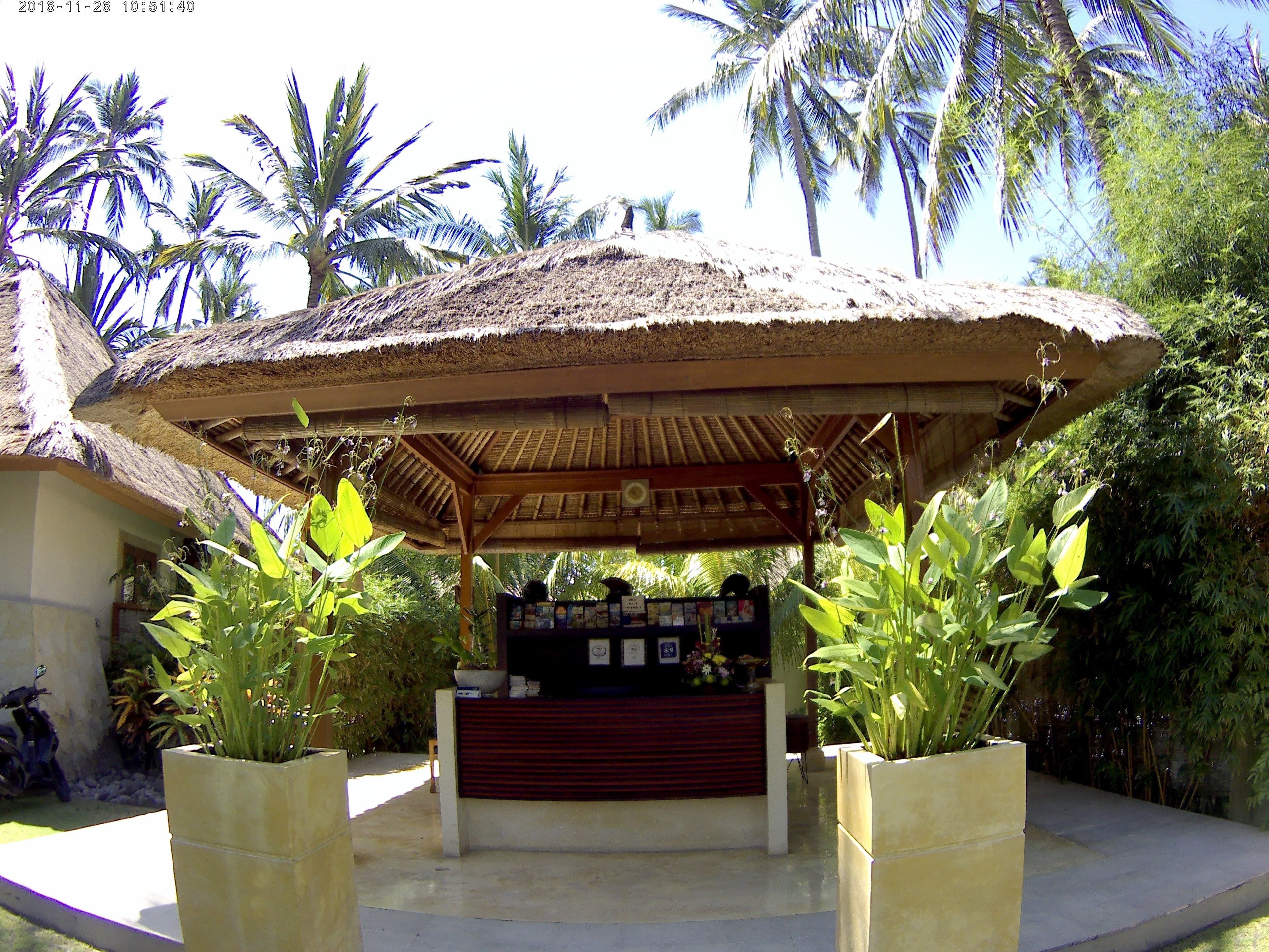 A thatched-roof structure with a counter and plants in front.