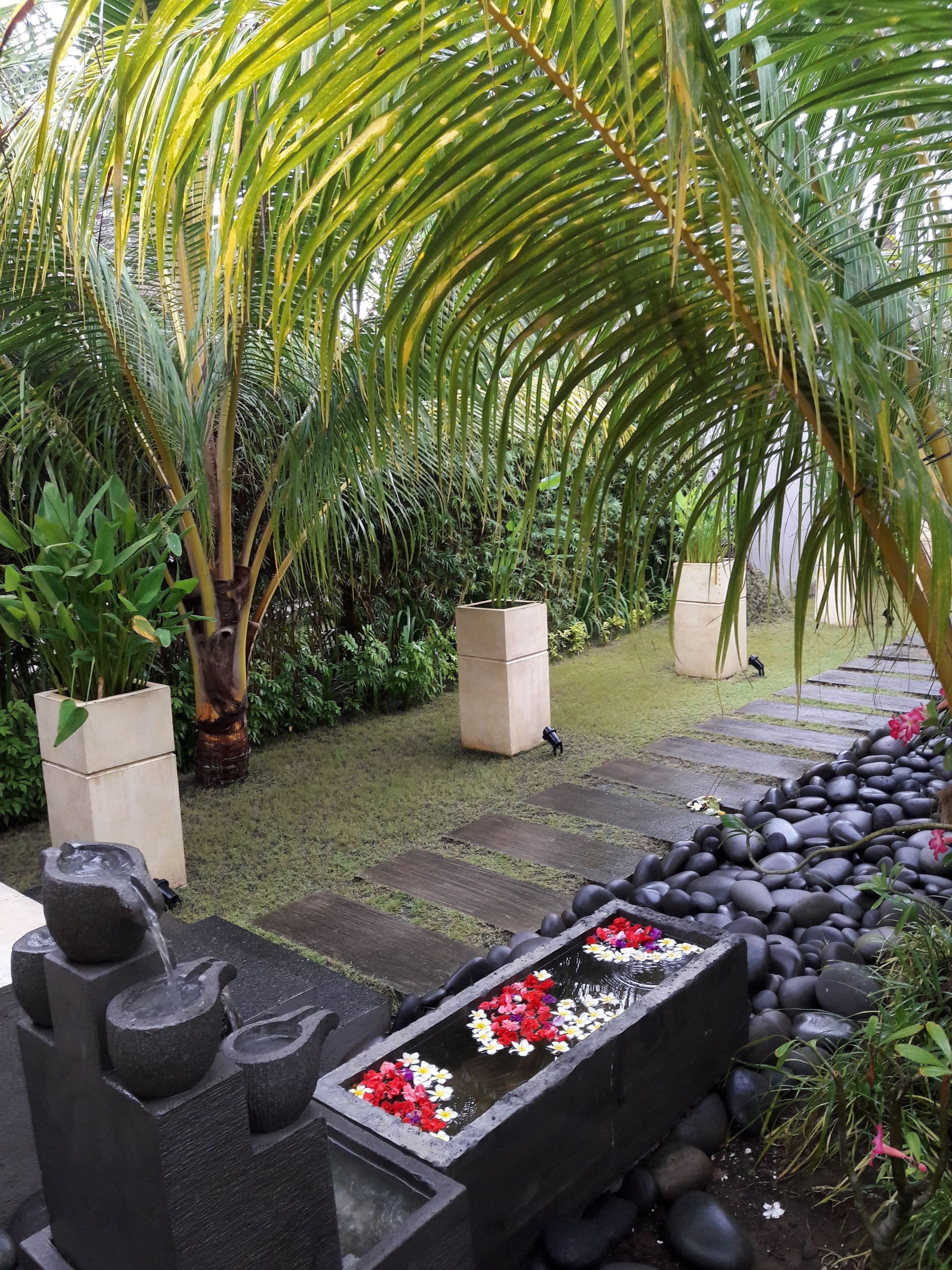 A garden with a water feature, stone pathway, and tropical plants.