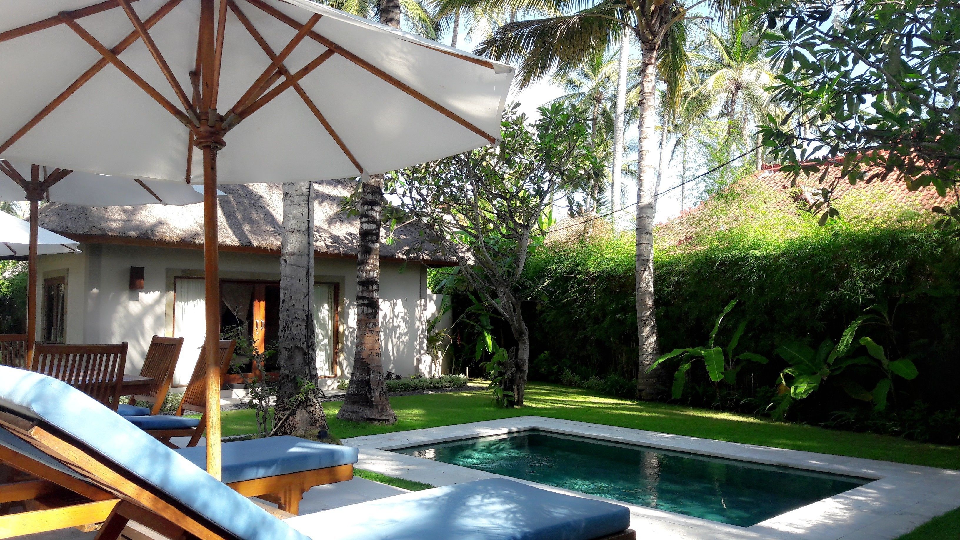 Un espace piscine agrémenté de chaises longues et d’un parasol, entouré d’une végétation luxuriante et de palmiers.