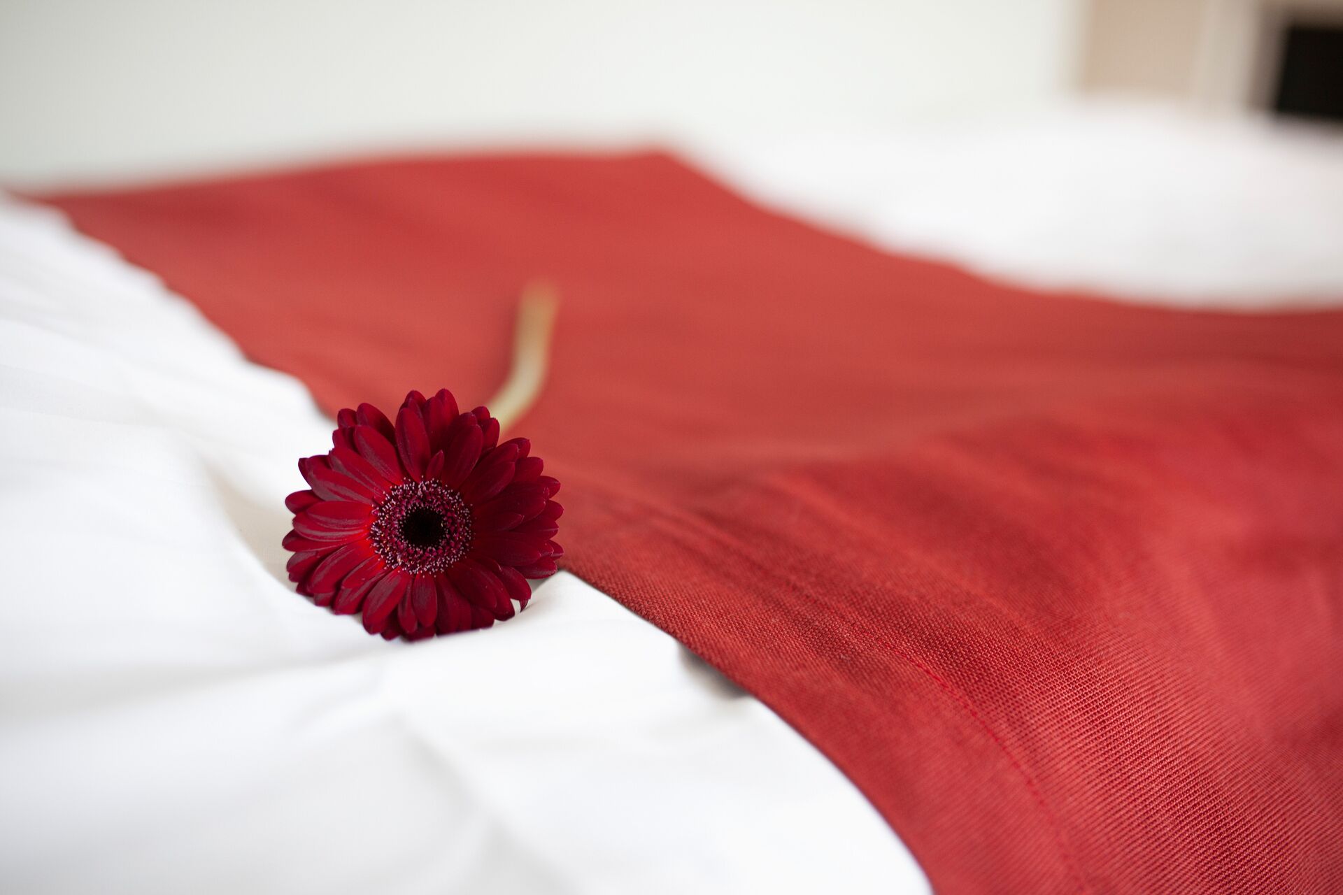 studio | blackout curtains, free wifi, bed sheets