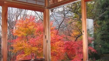 Habitación tradicional (Sode) | Vista desde la habitación