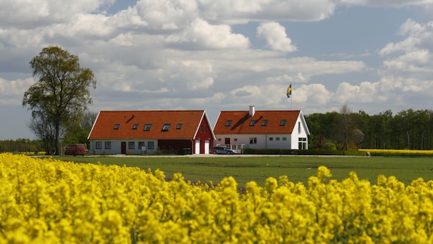 A building with a red roof and white walls, surrounded by a field of yellow flowers.