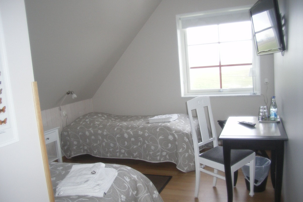 Economy Twin Room | Desk, iron/ironing board, cribs/infant beds, free WiFi