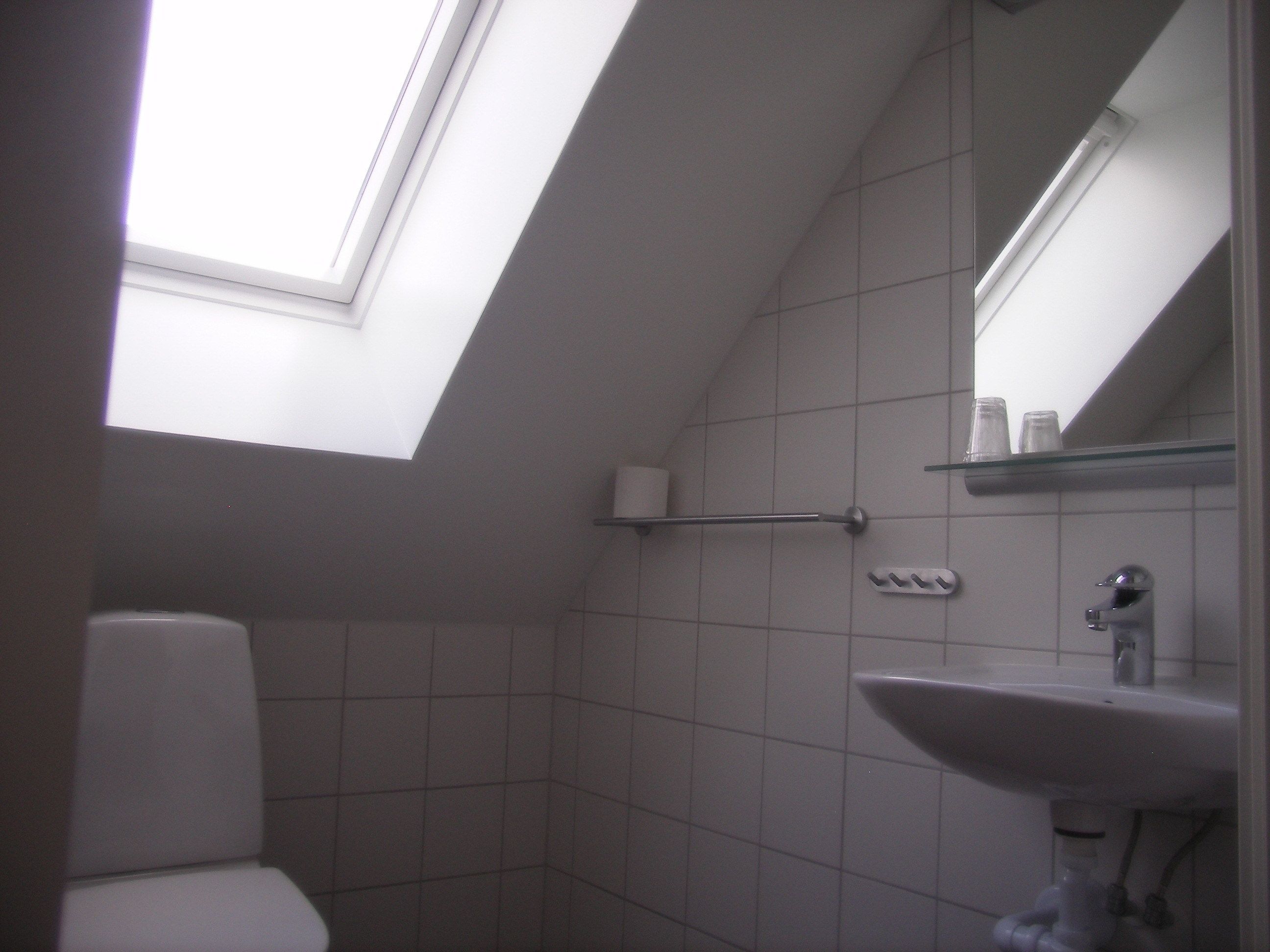 A small bathroom with a skylight, a toilet, a sink, and a mirror.