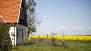 A house with a red roof and white walls, surrounded by a field of yellow flowers and a clear blue sky.