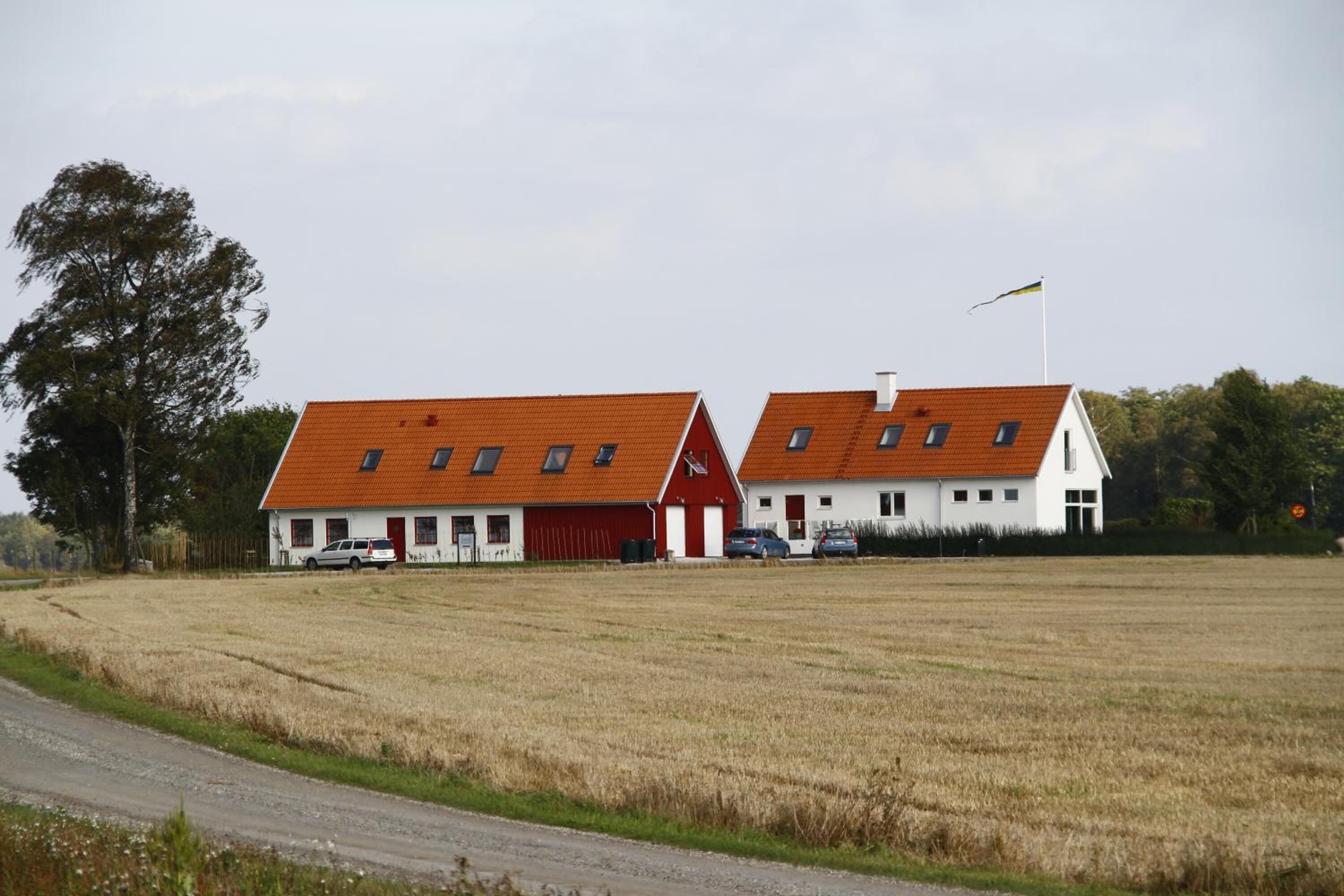 A rural setting with two red-roofed buildings, a gravel road, and a field.