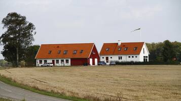 A rural setting with two red-roofed buildings, a gravel road, and a field.