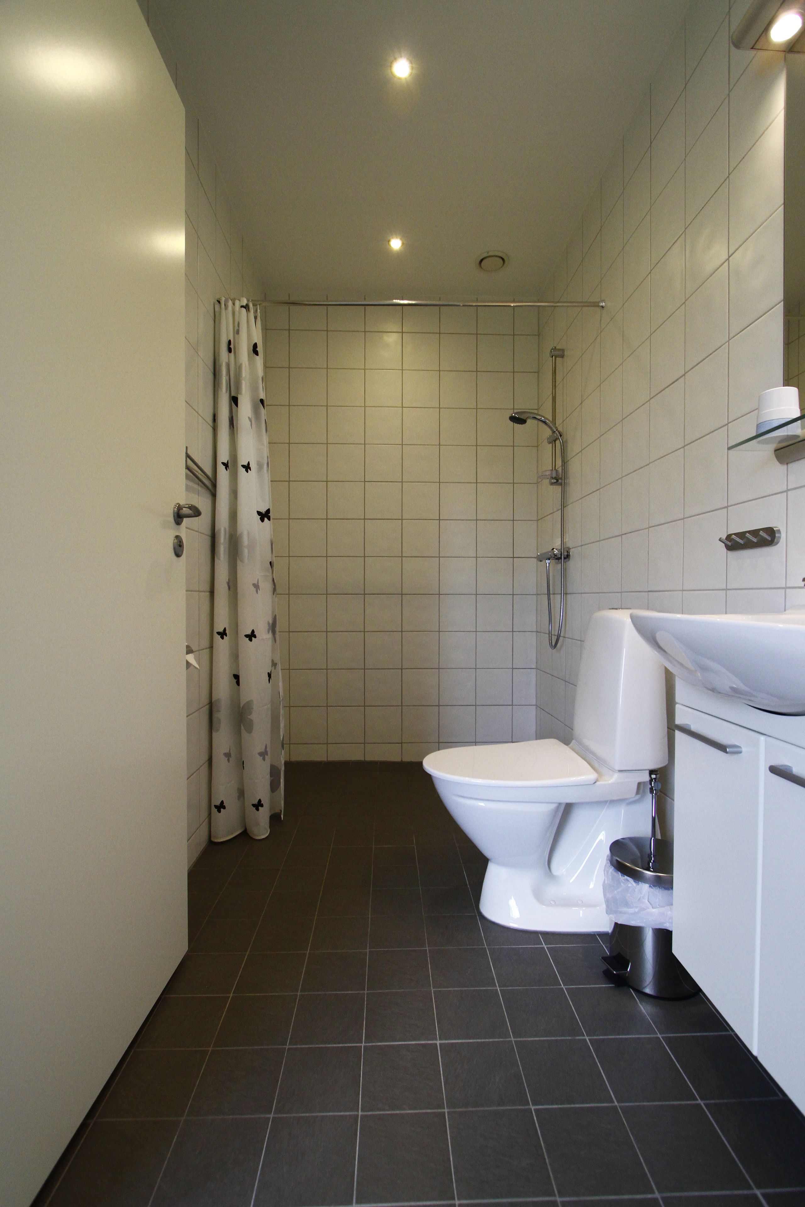 A modern bathroom with a shower, toilet, and sink.