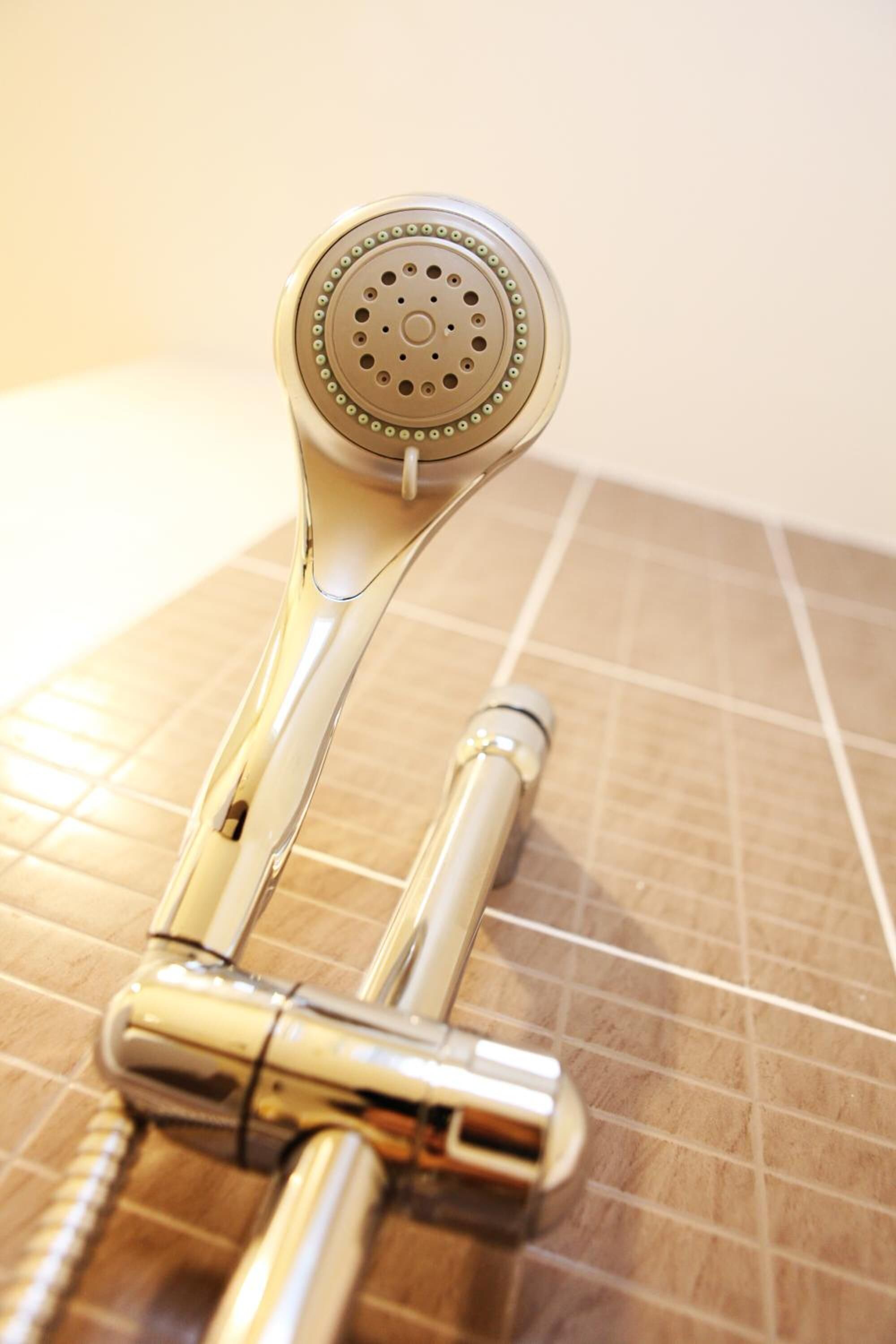 shower, free toiletries, hair dryer