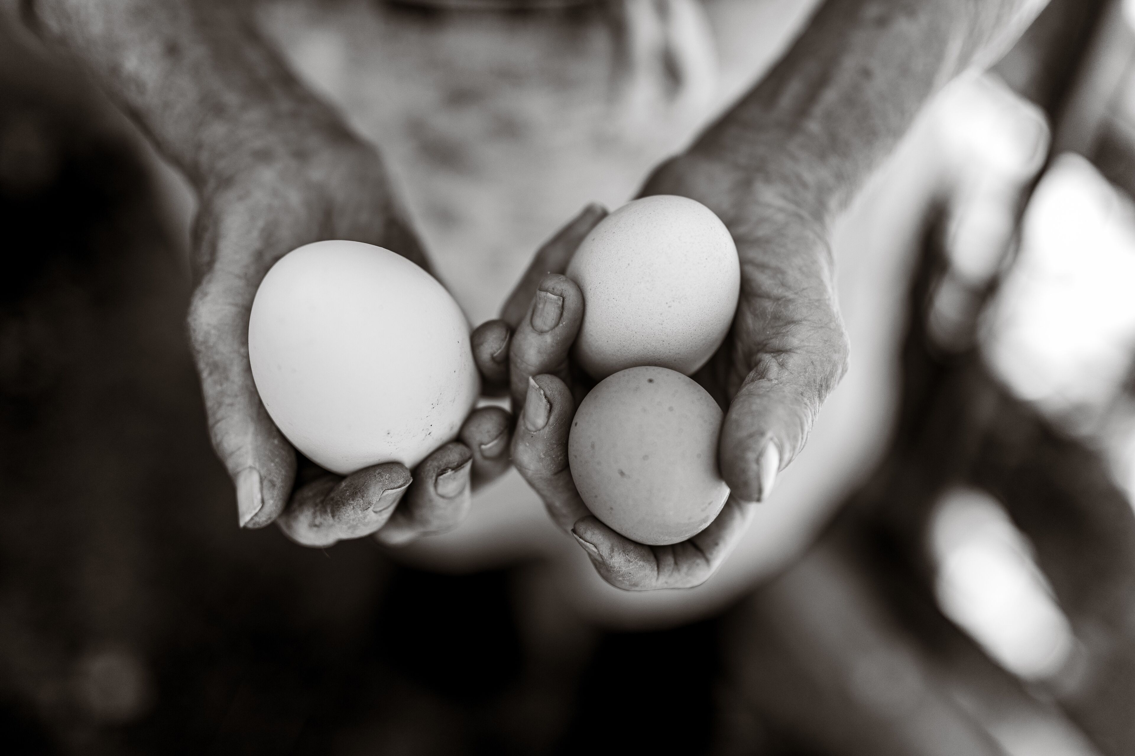 Una persona sosteniendo tres huevos.