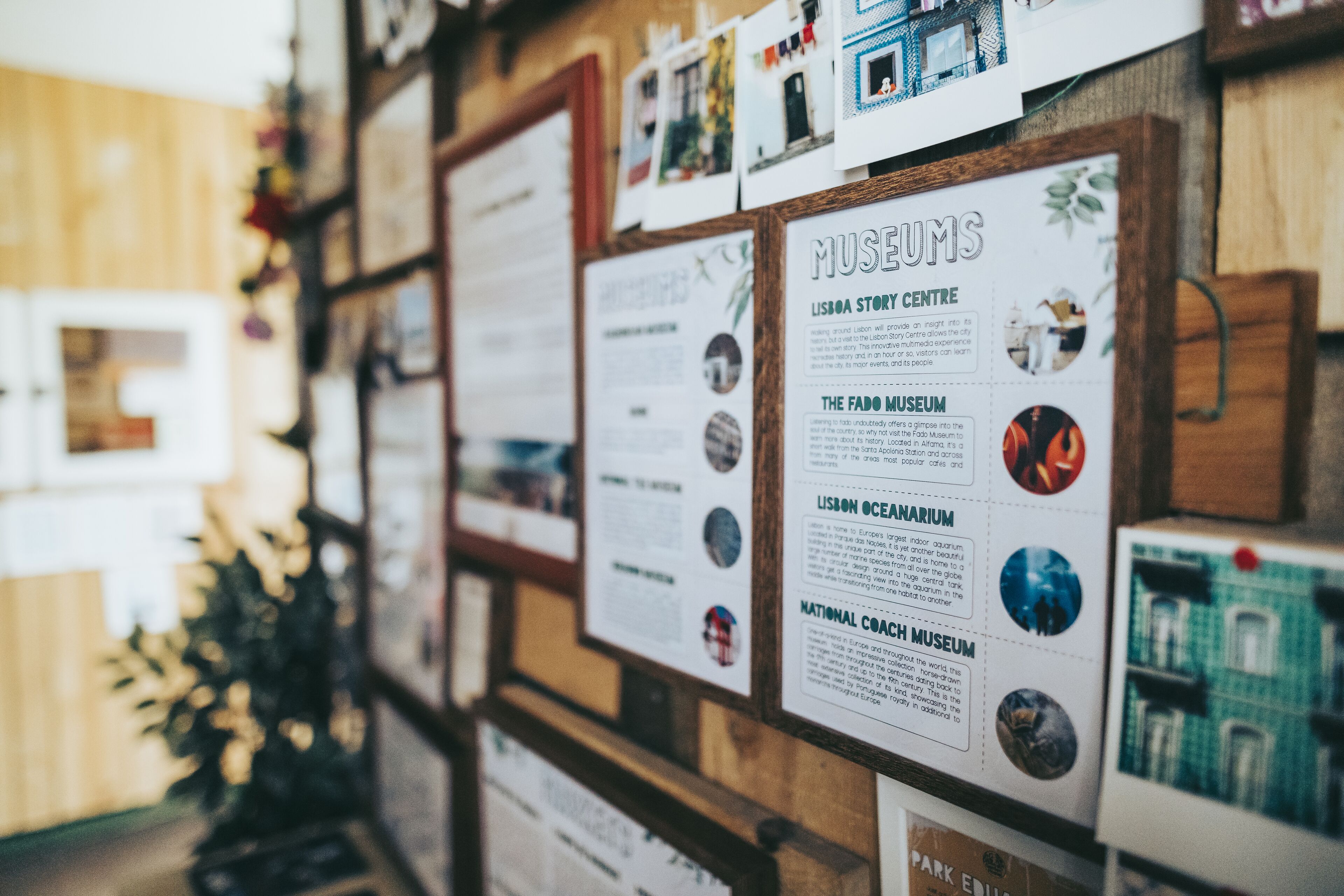 Foto - Urban Garden Hostel