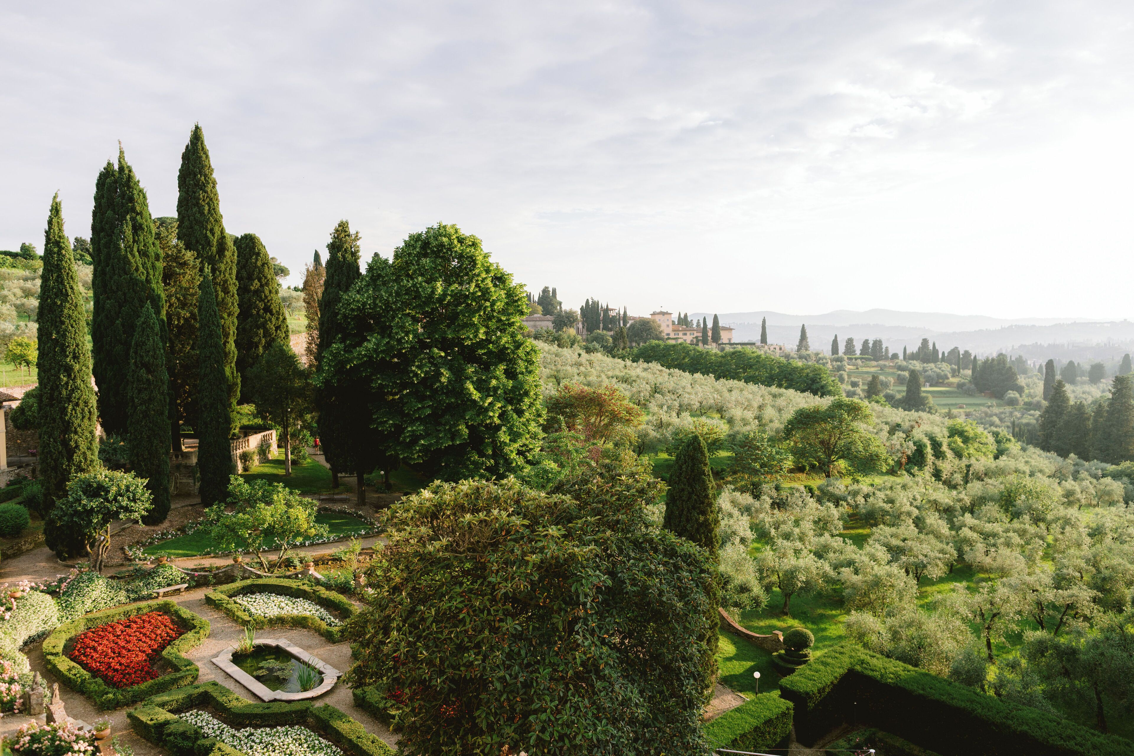 Un jardín ajardinado con setos cuidados, diversidad de árboles y una vista distante de edificios.