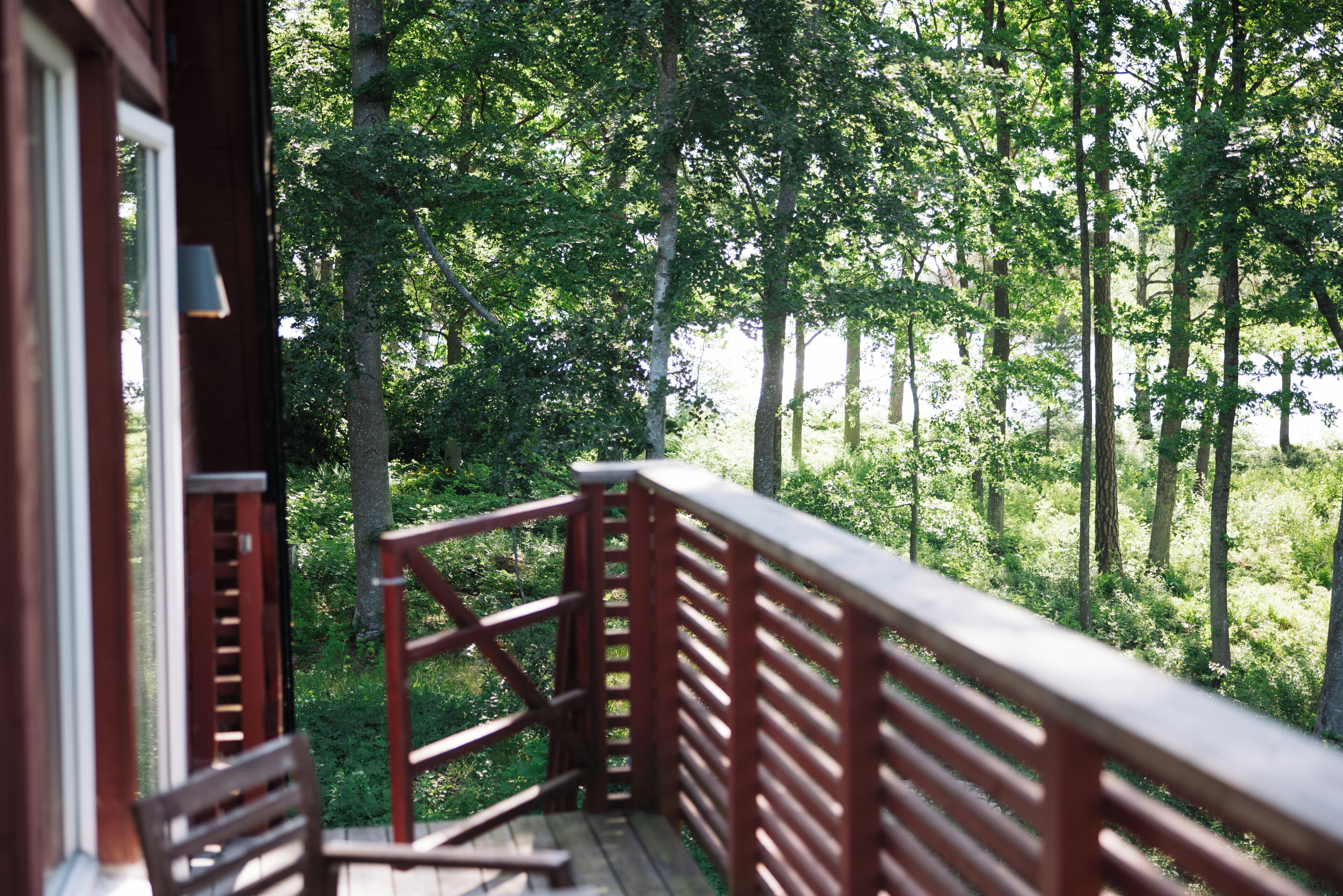 Utsikt från boendet