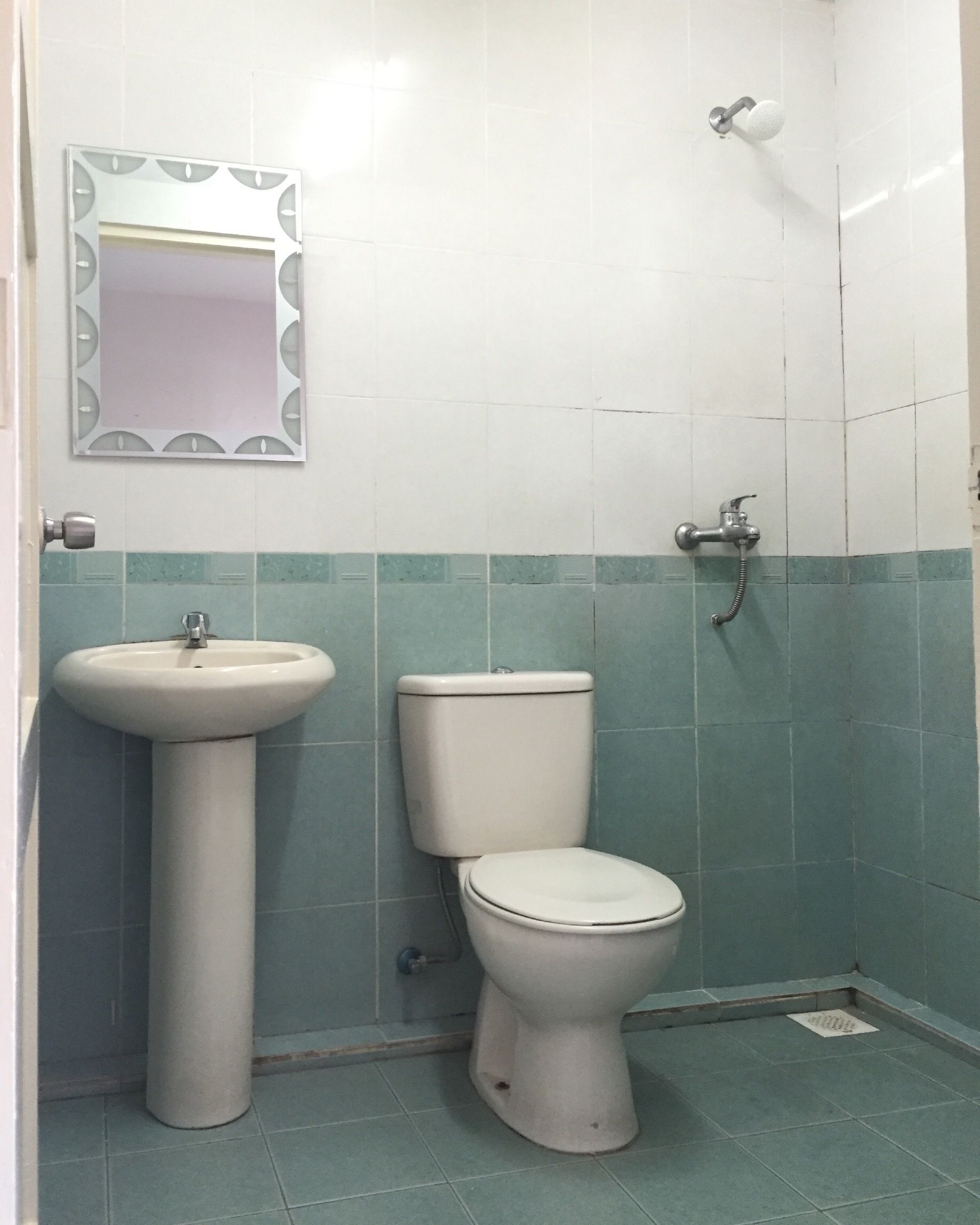 Un bagno con lavabo a piedistallo, un water e una doccia.