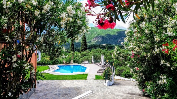 A pool area with a clear view of the pool, surrounded by lush greenery and flowering plants. - Ziogas Apartments (Corfu)