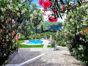 A pool area with a clear view of the pool, surrounded by lush greenery and flowering plants. - Ziogas Apartments (Corfu)