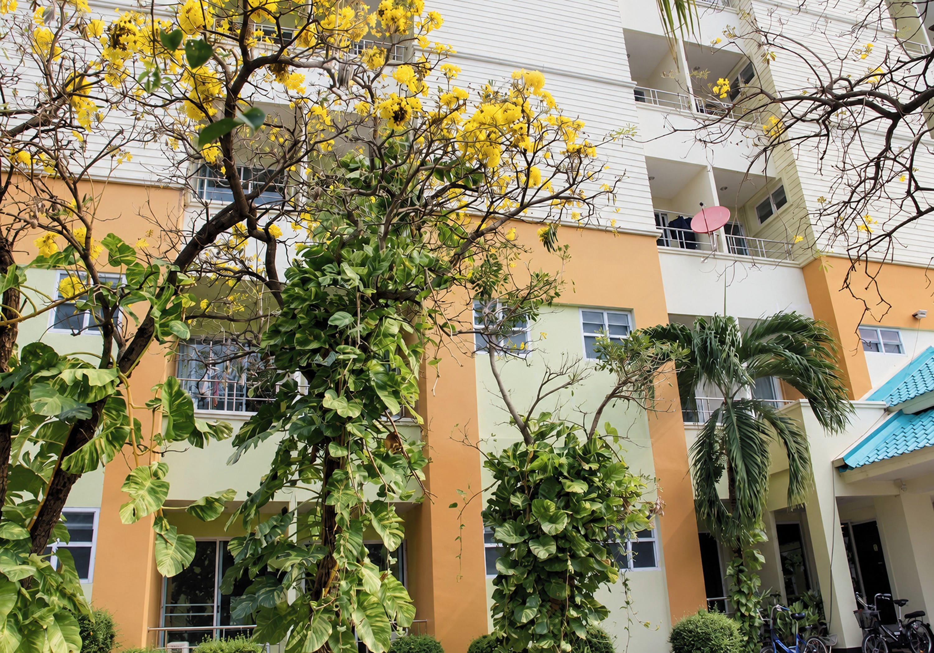 Un edificio de varios pisos con balcones, ventanas amplias y una variedad de plantas, incluyendo árboles y arbustos.