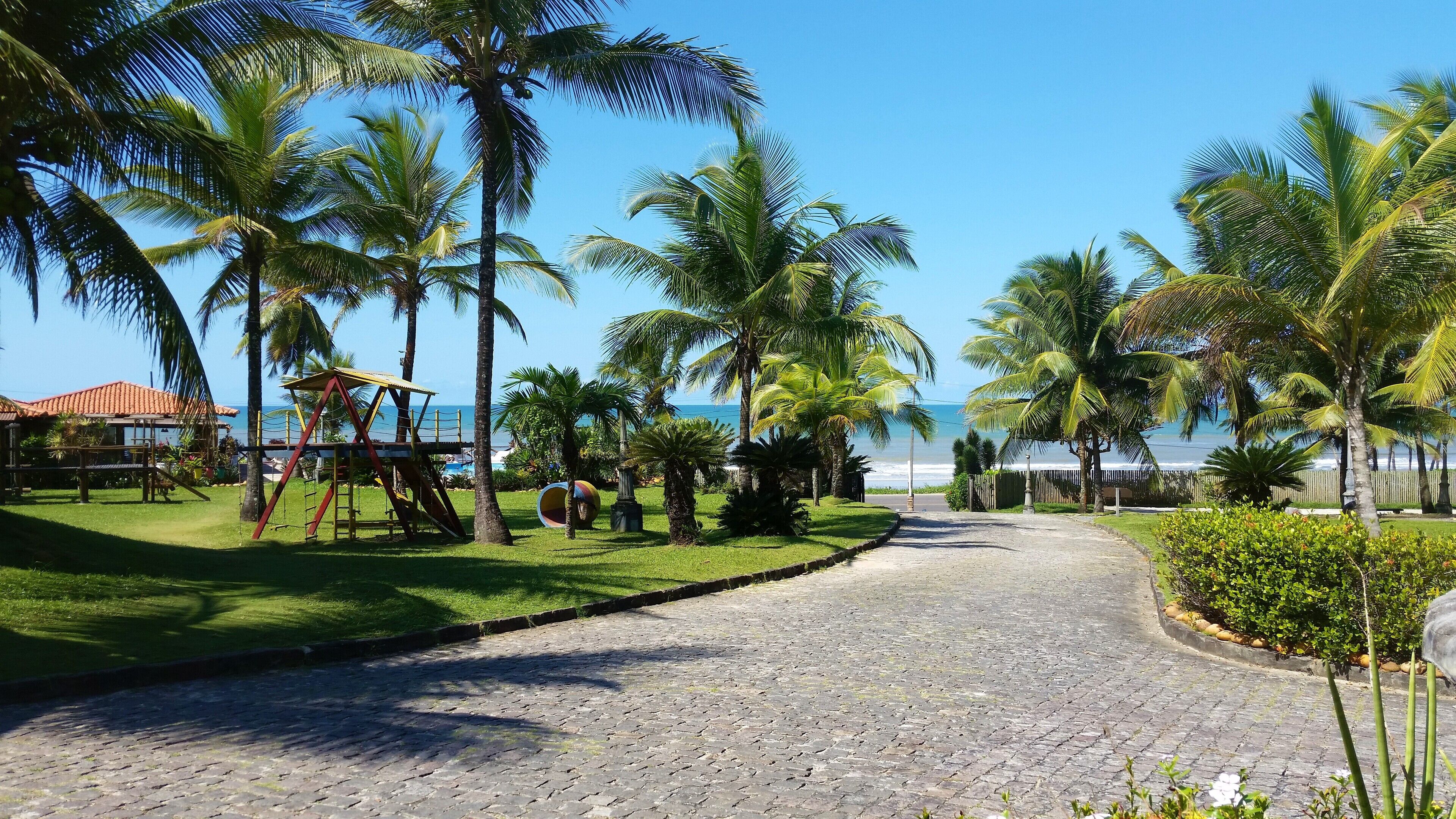 Un camino pavimentado que lleva a una zona de playa con palmeras y un parque infantil.