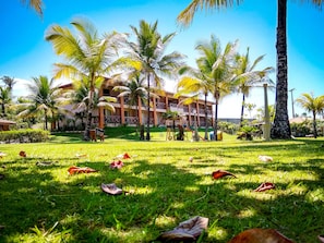 Jardí
