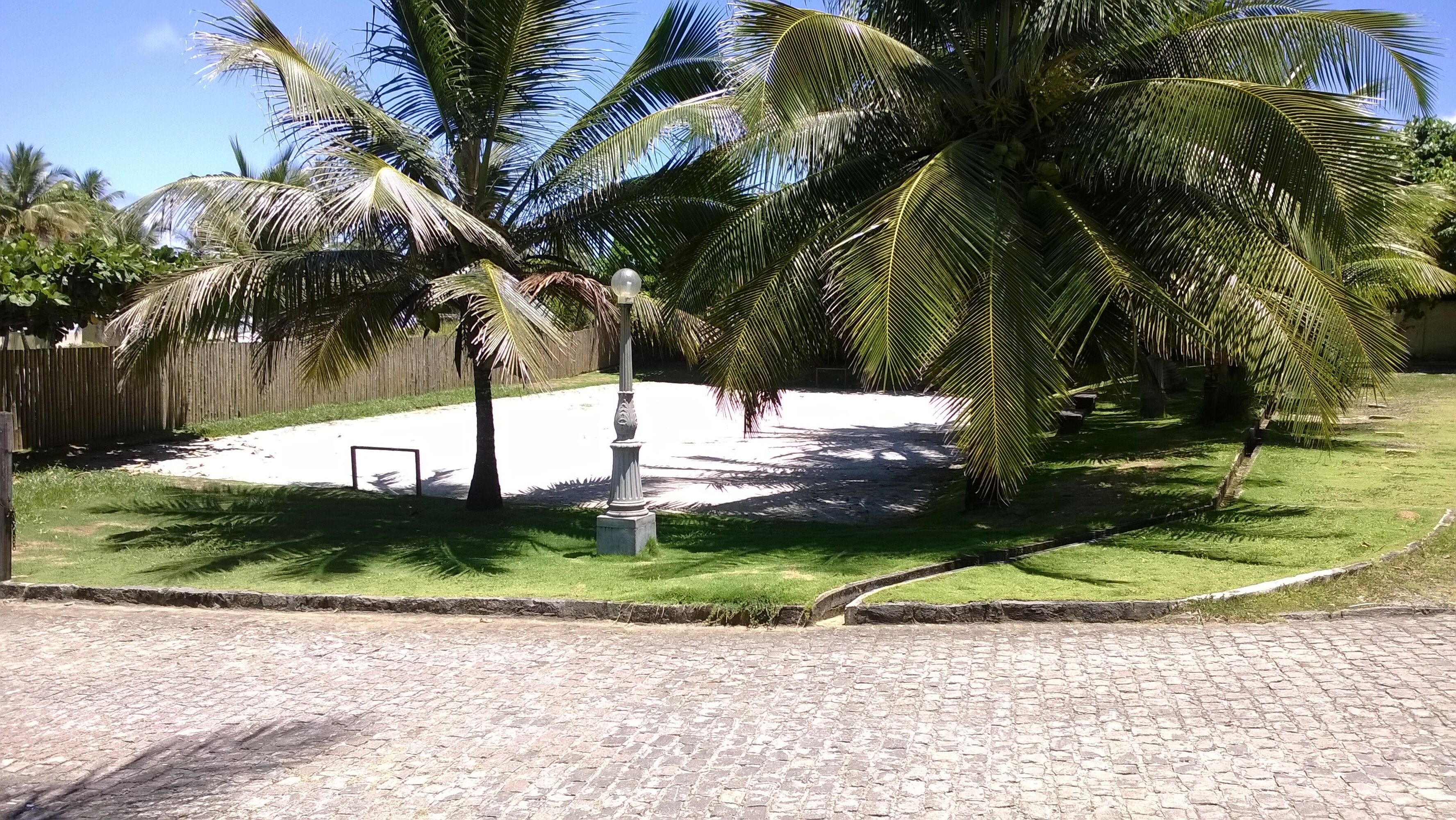 A paved area with palm trees and a stone wall.