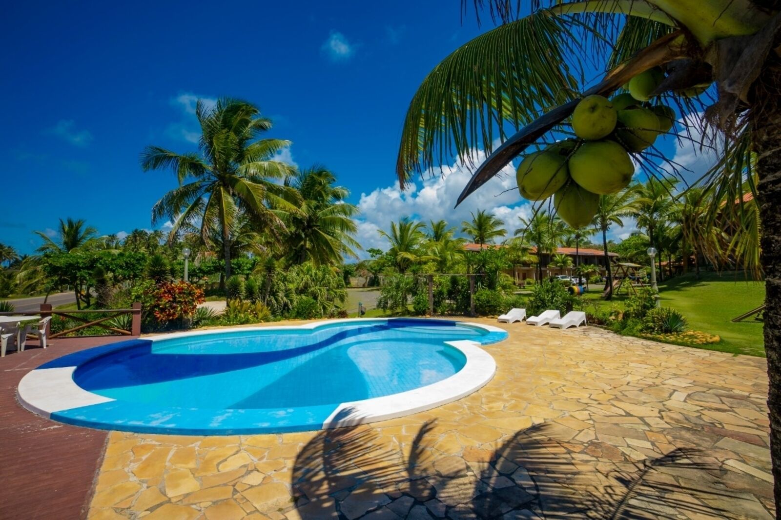 Ein Pool mit gewölbter Kante, umgeben von Palmen und einer Steinterrasse.