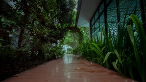 Un sendero bordeado de abundante vegetación y un edificio moderno con amplias ventanas.