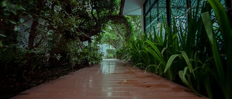 Un sendero bordeado de abundante vegetación y un edificio moderno con amplias ventanas.