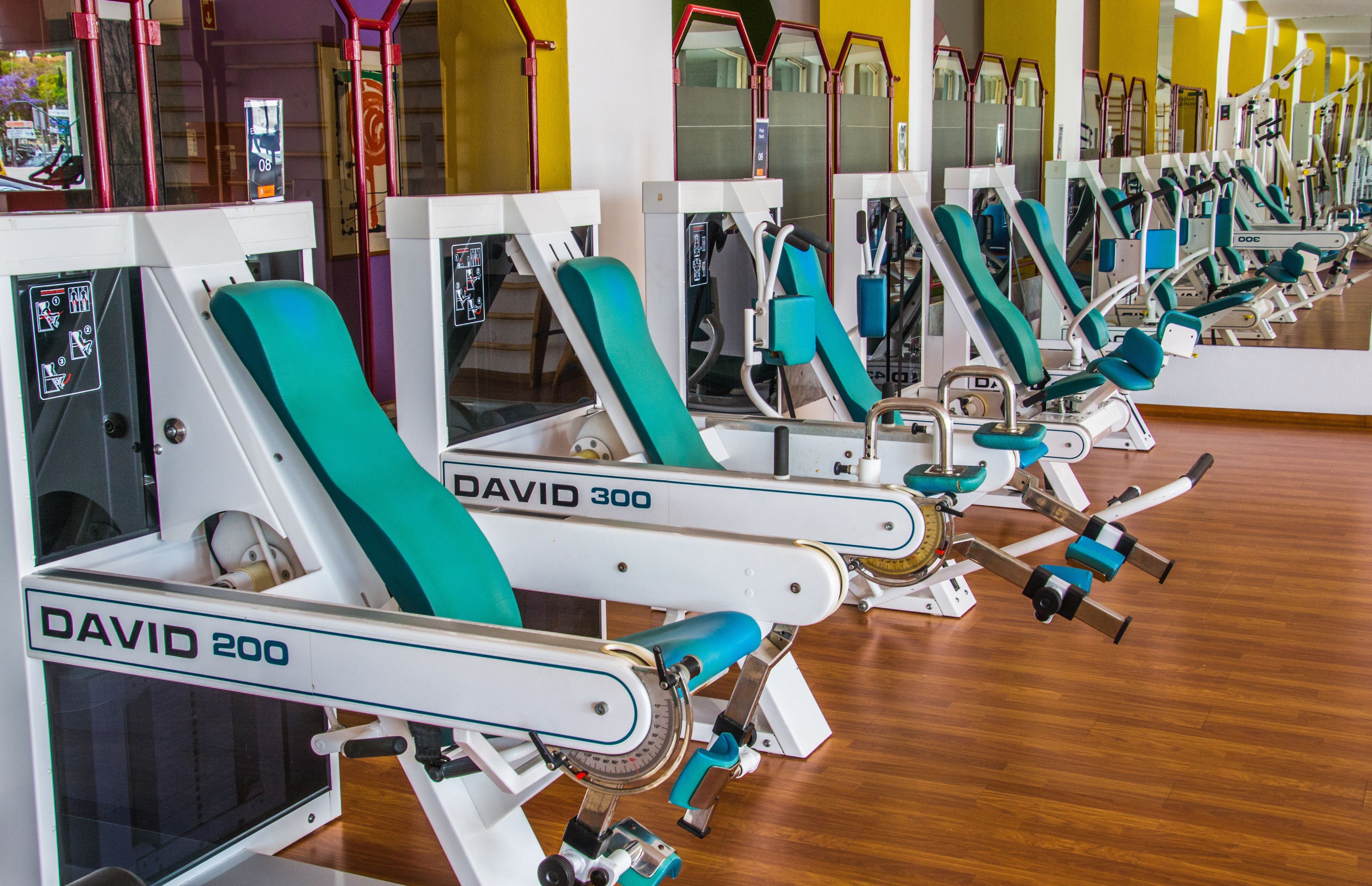 En række træningsmaskiner med mærkaten "DAVID 300" i et fitnesscenter med trægulv og spejlvægge.