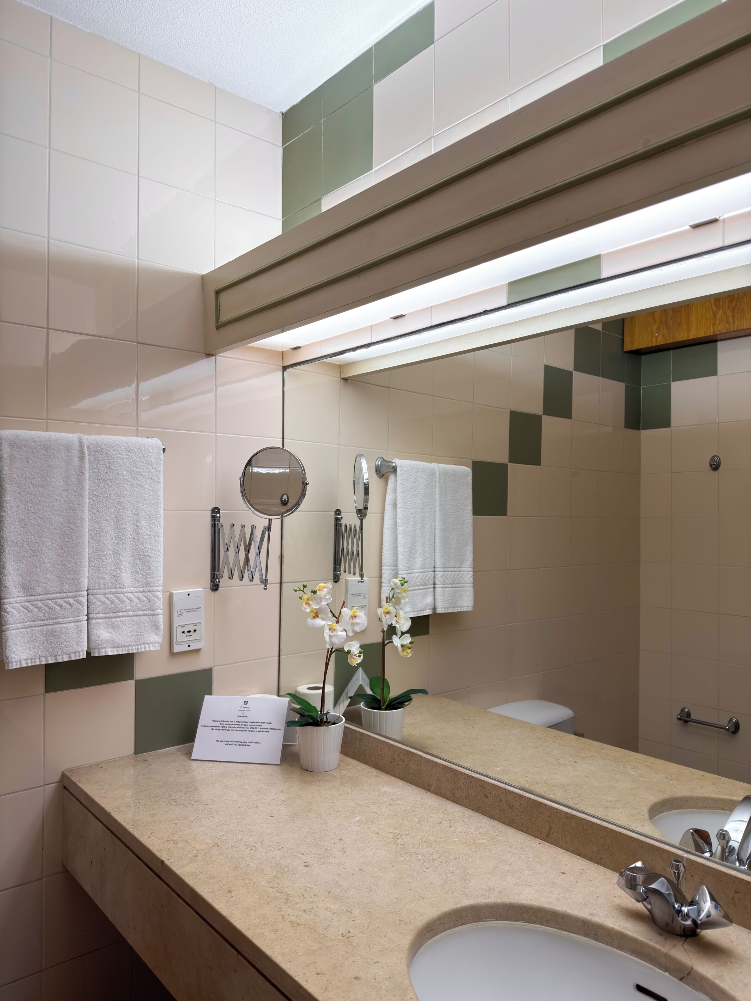 Un baño con lavamanos, espejo, toallero y dos orquídeas en macetas.