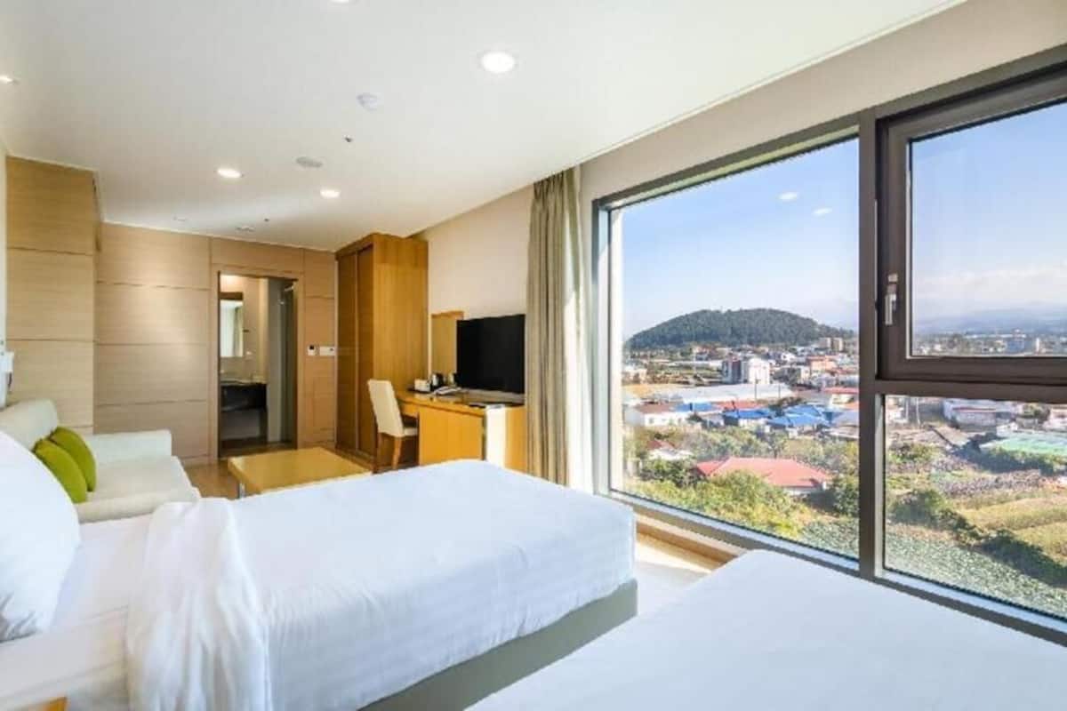 Premium bedding, down comforters, in-room safe, desk