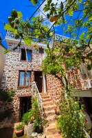 Vista desde la propiedad