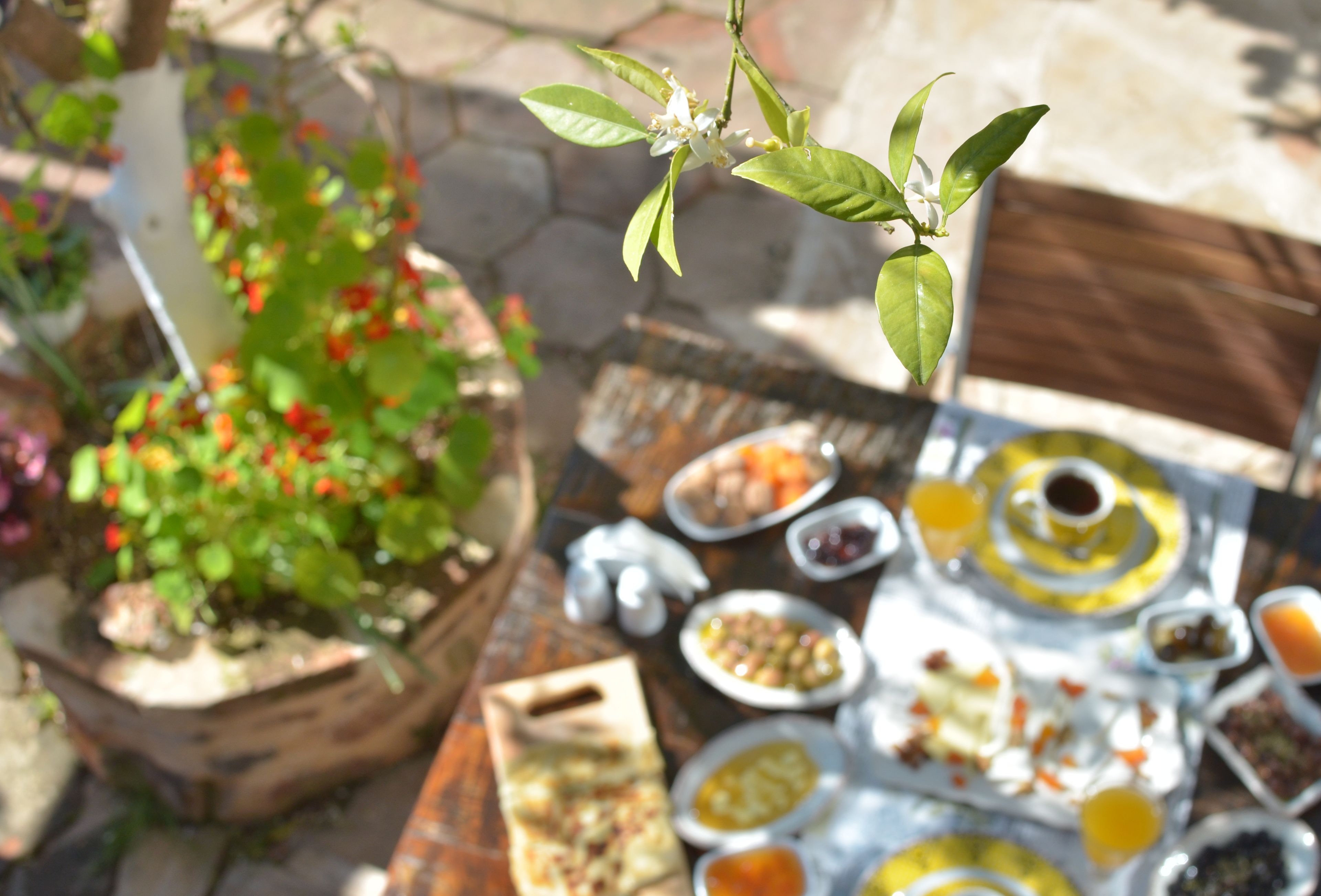 A dining table with various dishes and a potted plant.