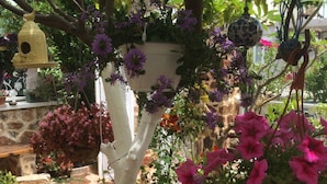 A garden with a white tree trunk, various potted plants, and hanging bird feeders. - Lemon Villa Hotel - Adult Only (Alanya)