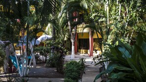 A tropical garden with palm trees, a pathway, and a building with yellow and red walls. - Hotel Nany (Cabo Velas)
