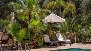 A swimming pool with lounge chairs and an umbrella, surrounded by lush greenery.